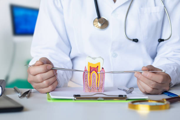 Best Cosmetic Emergency Dentistry in Garden Grove, FL
